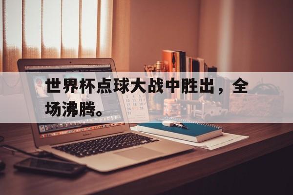 世界杯点球大战中胜出，全场沸腾。