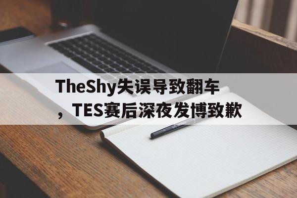 TheShy失误导致翻车，TES赛后深夜发博致歉